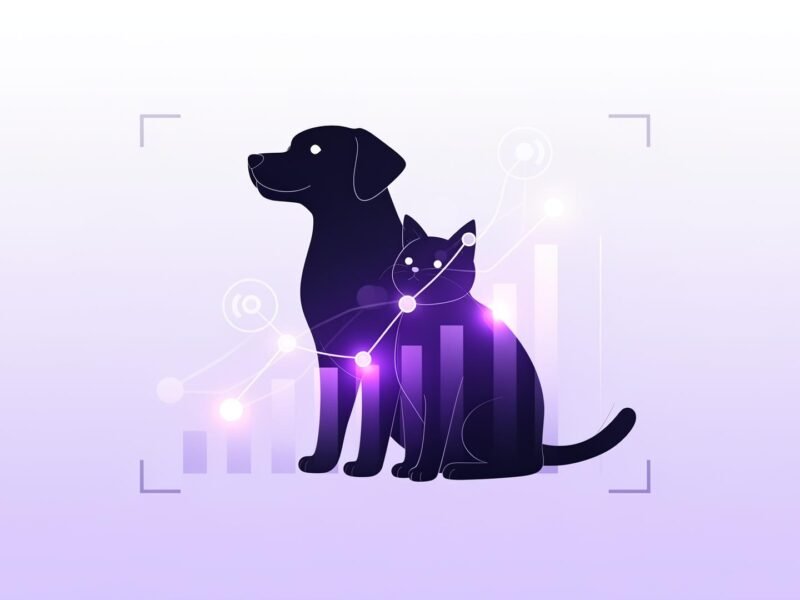 Building AI Overview Presence from a Site Relaunch: A Kinship.com Case Study