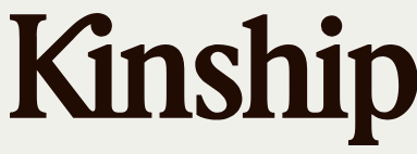 Building AI Overview Presence from a Site Relaunch: A Kinship.com Case Study